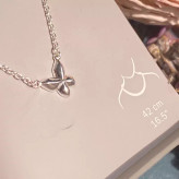 گوشواره_نقره